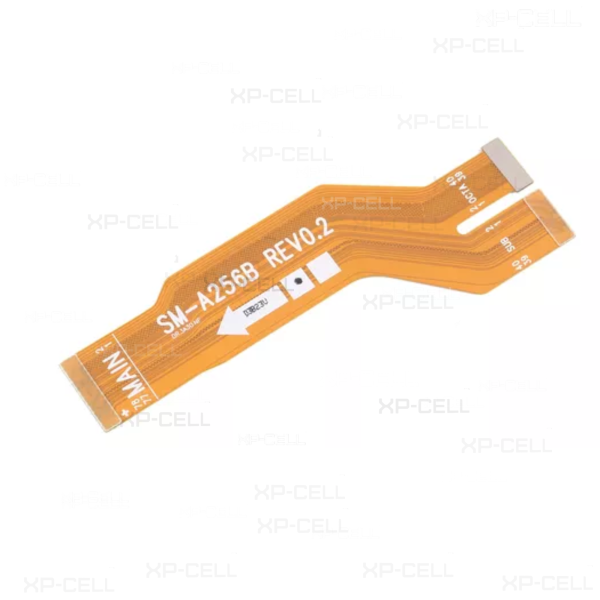 FLEX MAIN A25 (A256 / 2023)